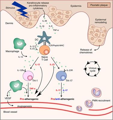 Psoriasis, Cardiovascular Events, and Biologics: Lights and Shadows